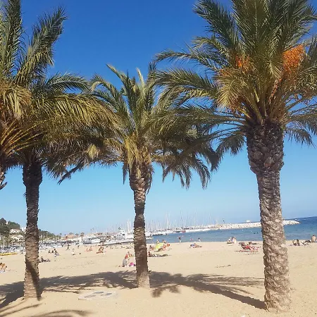 Sylvia Les Mimosas Hébergement de vacances